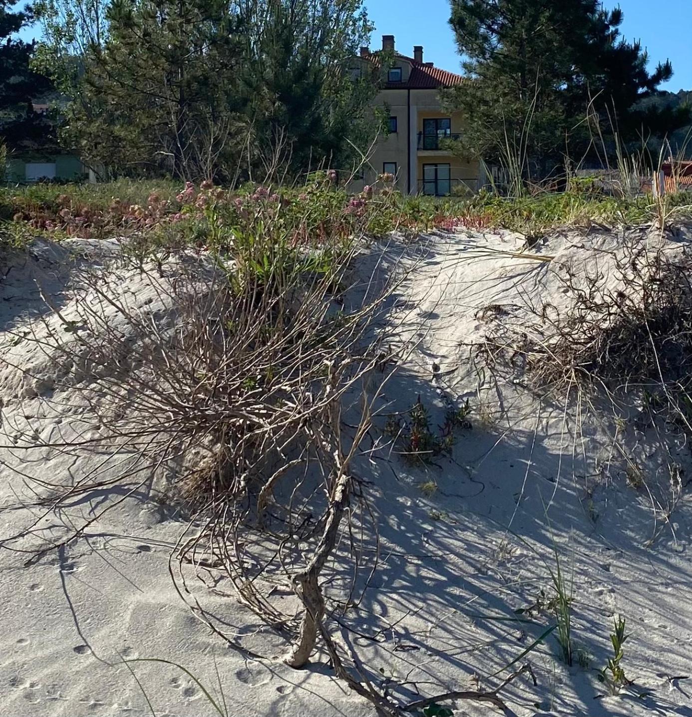 Apto Las Dunas De Langosteira En Финистере Екстериор снимка